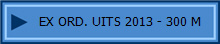 EX ORD. UITS 2013 - 300 M